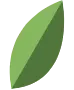 large-leaf